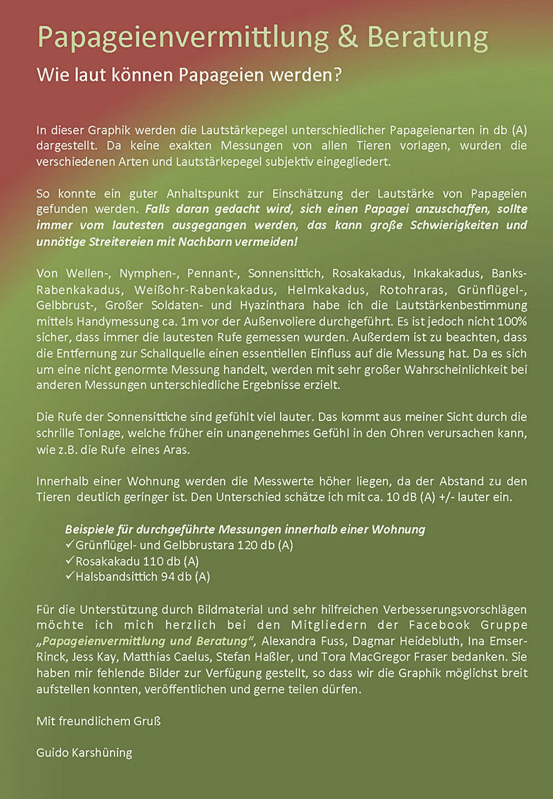 Wie laut können Papageien werden-1