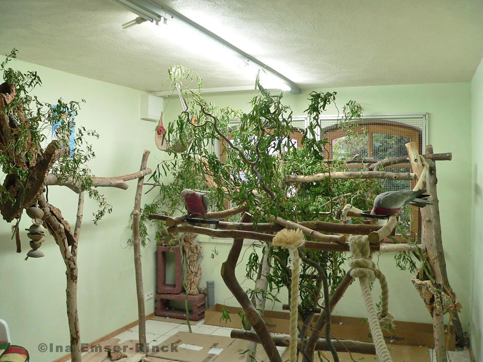 Vogelzimmer für Rosakakadus